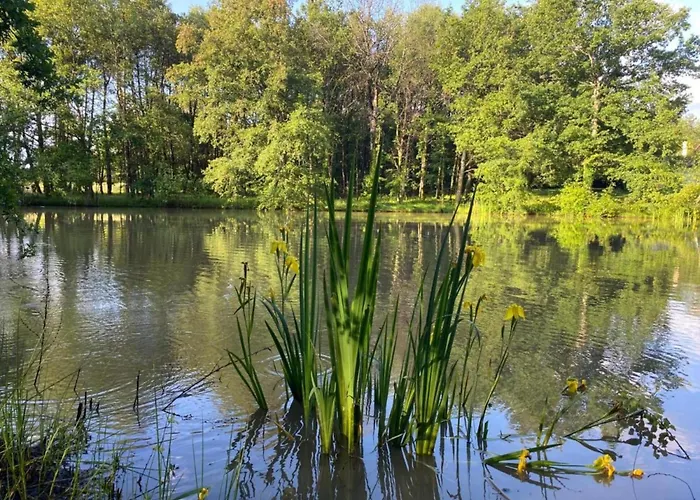 In Aquitaine With Pool & Bbq Saint-Alvère
